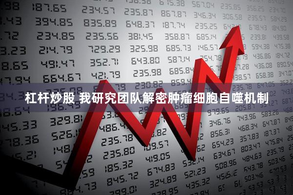 杠杆炒股 我研究团队解密肿瘤细胞自噬机制
