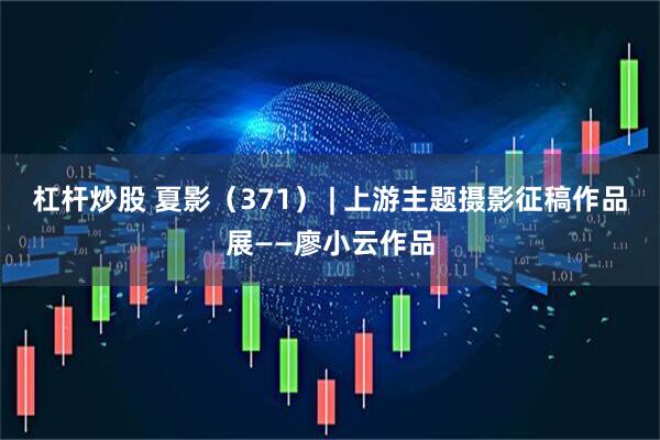 杠杆炒股 夏影（371） | 上游主题摄影征稿作品展——廖小云作品