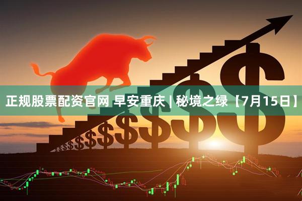 正规股票配资官网 早安重庆 | 秘境之绿【7月15日】