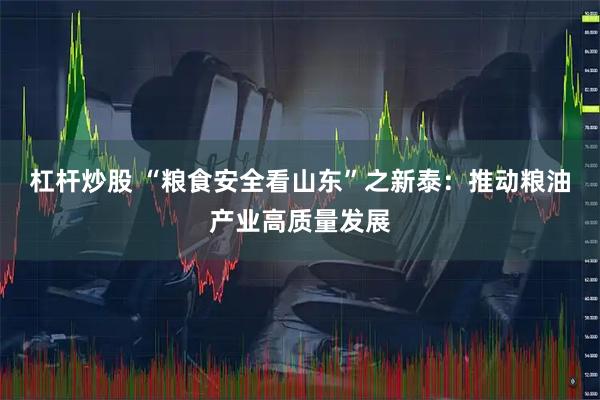 杠杆炒股 “粮食安全看山东”之新泰：推动粮油产业高质量发展