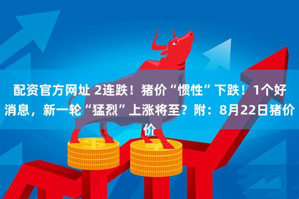 配资官方网址 2连跌！猪价“惯性”下跌！1个好消息，新一轮“猛烈”上涨将至？附：8月22日猪价